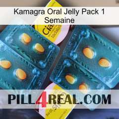 Kamagra Oral Jelly 1 Week Pack cialis5